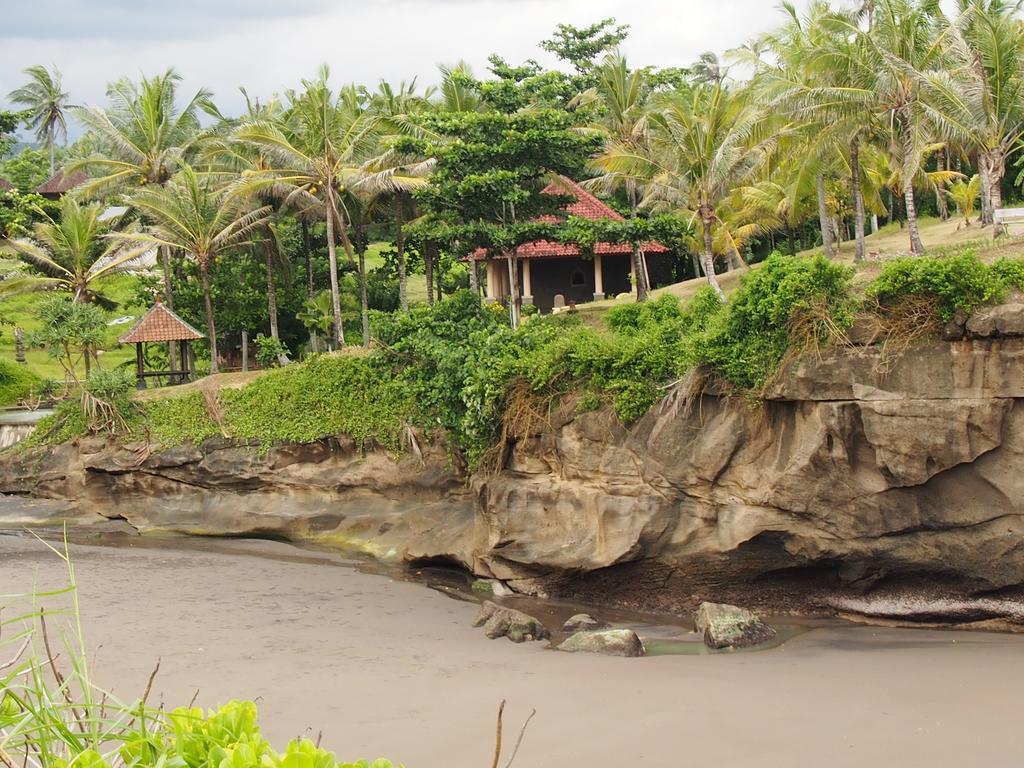 Gajah Mina Beach Resort Selemadeg  Εξωτερικό φωτογραφία