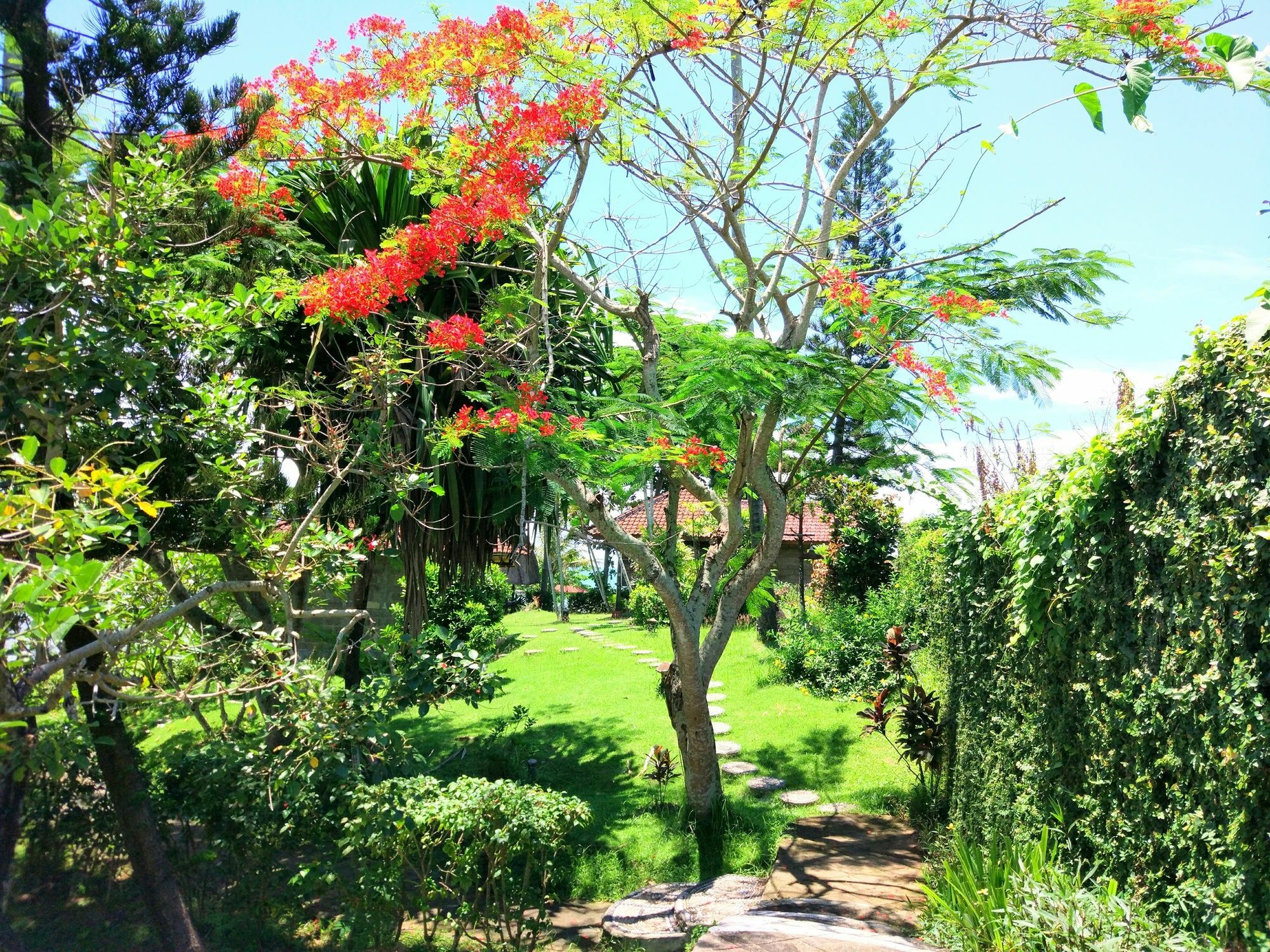 Gajah Mina Beach Resort Selemadeg  Εξωτερικό φωτογραφία