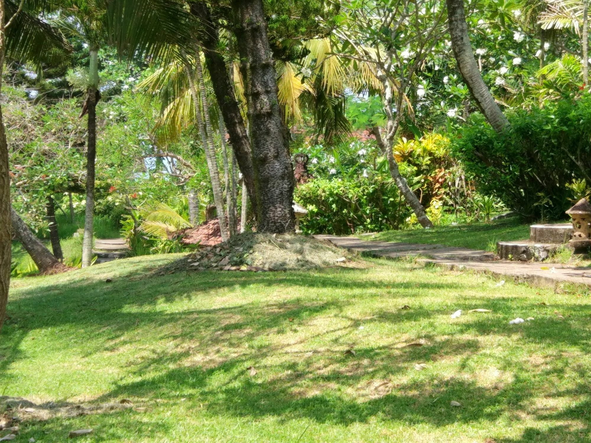 Gajah Mina Beach Resort Selemadeg  Εξωτερικό φωτογραφία