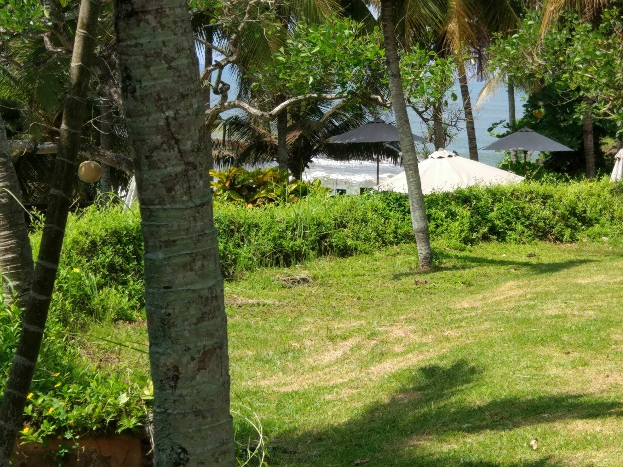 Gajah Mina Beach Resort Selemadeg  Εξωτερικό φωτογραφία