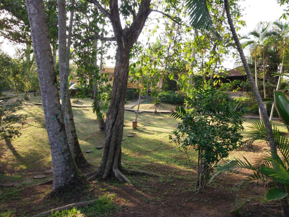 Gajah Mina Beach Resort Selemadeg  Εξωτερικό φωτογραφία